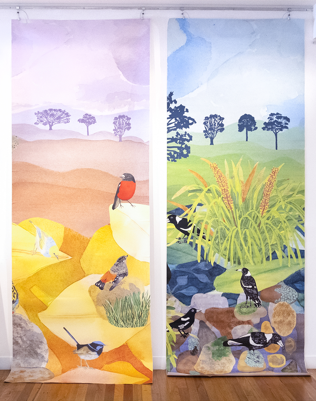 2_DHULWA_Cassia_Lomandra_sampling_Wallpaper