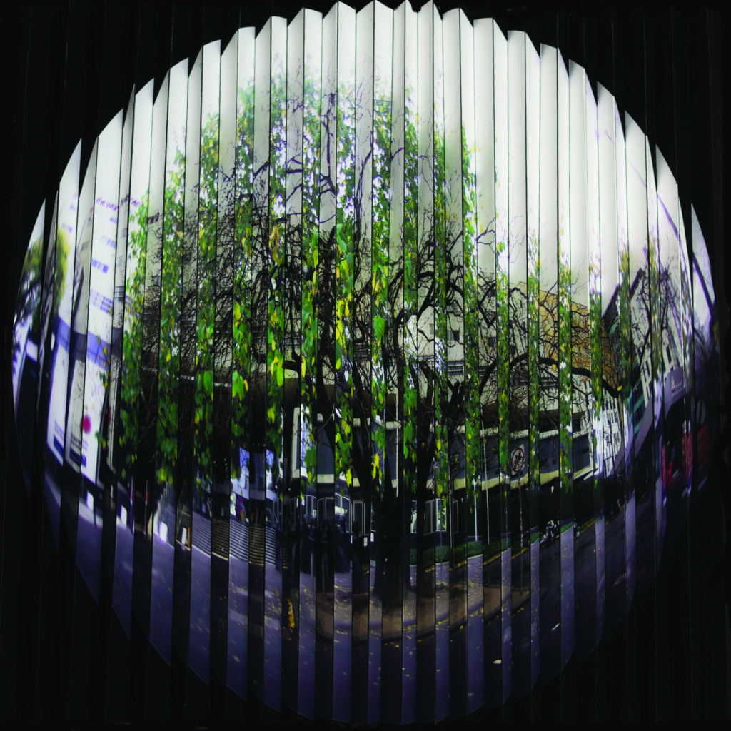 Kate Gorringe-Smith enters an urban forest, with the new group exhibition TREE at fortyfivedownstairs.