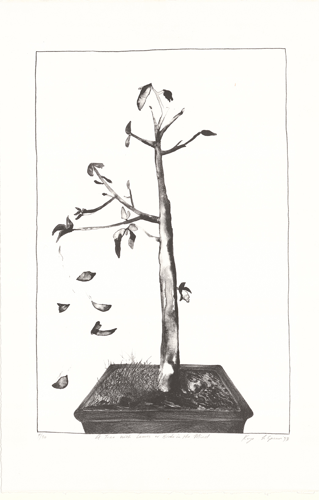 Kaye L. Green, A tree with Leaves or Birds in the Mind, 1993, lithograph, 45x30cm, edn. 9 of 30.
