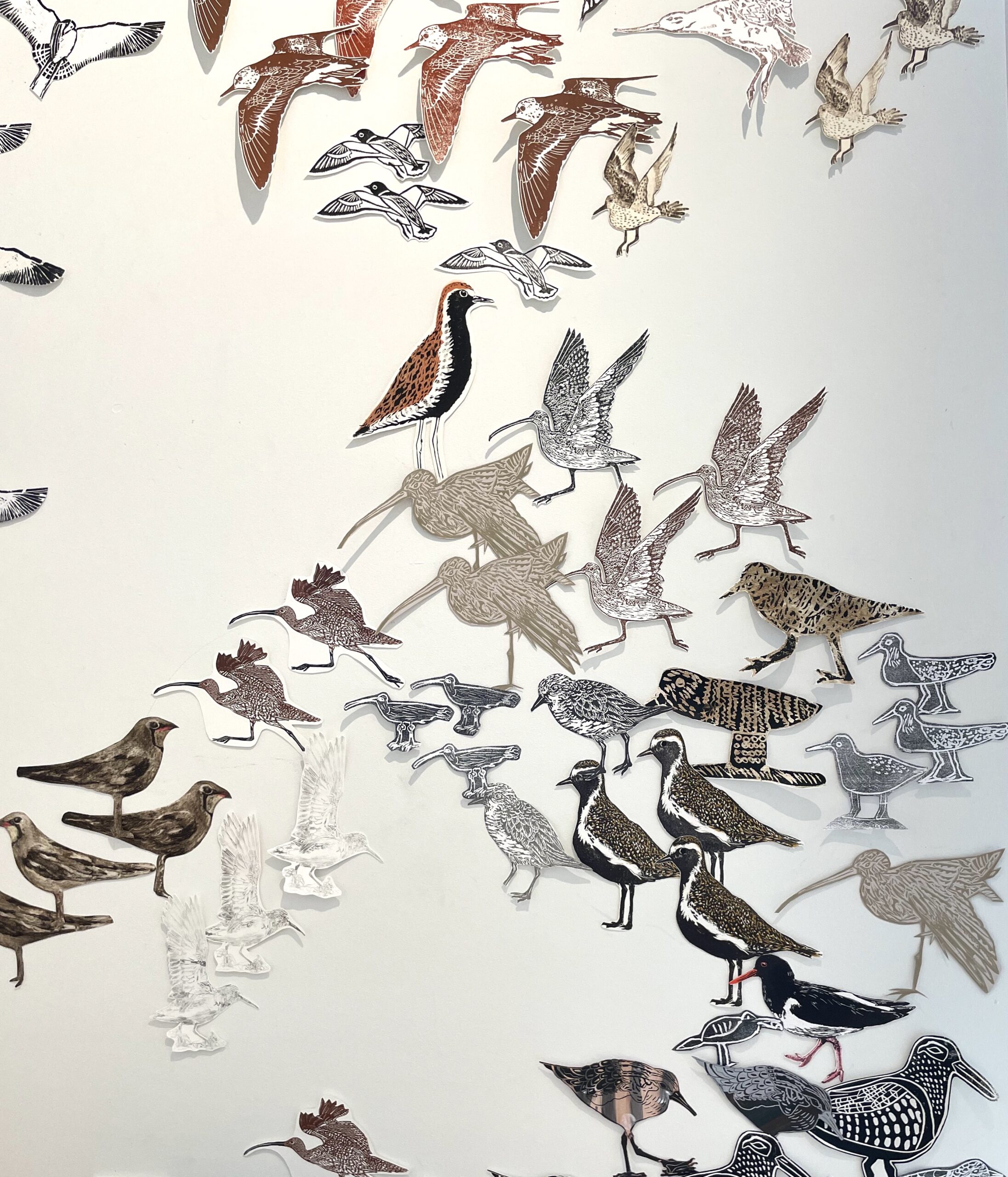 11_Wall of Wings_detail copy