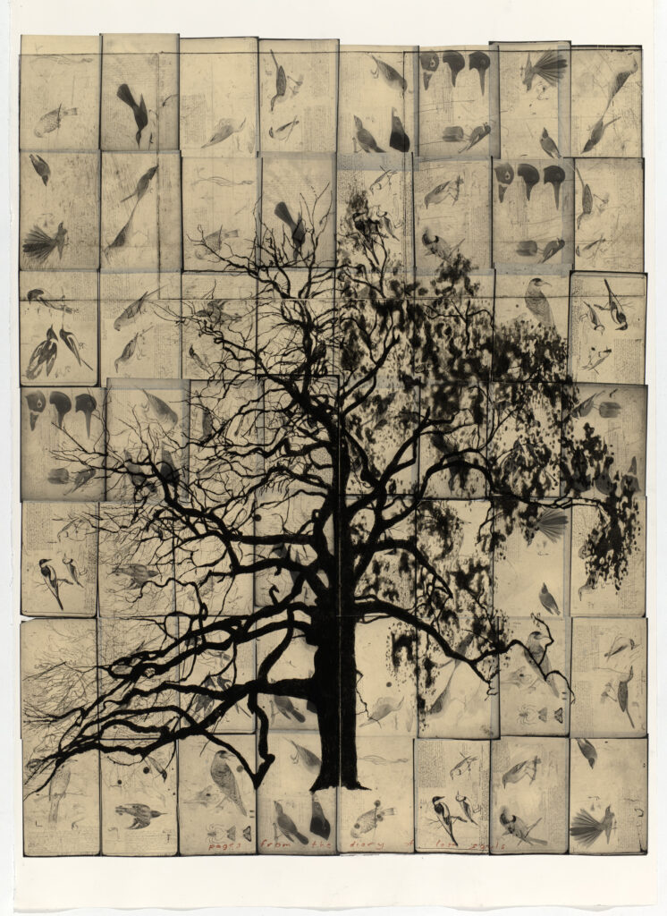 Jo Darvall explores connections with other artists and with nature in a new show with Martin King and Clare Humphries in Albany, Western Australia.