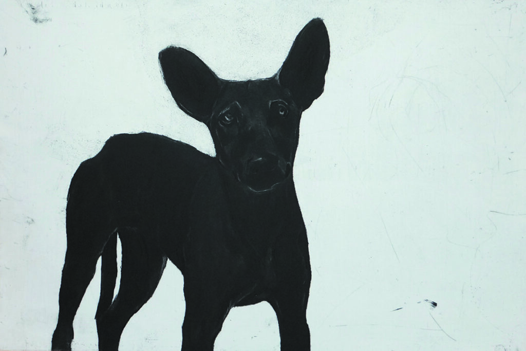 In the work of Deborah Williams, the dog sees as much as it is seen.