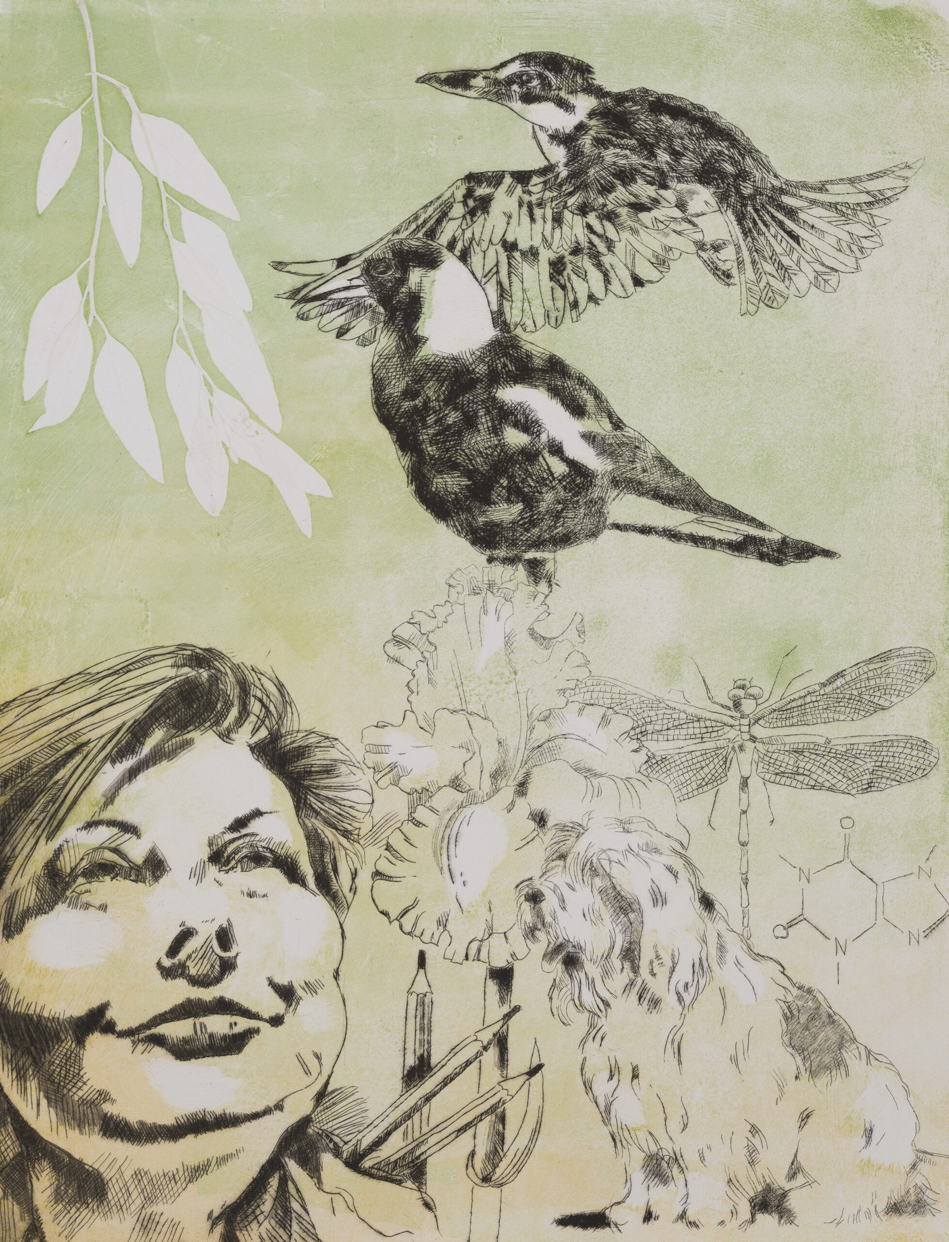Lisa Brack_ Flights of Fancy_ Drypoint, monotype and embossing