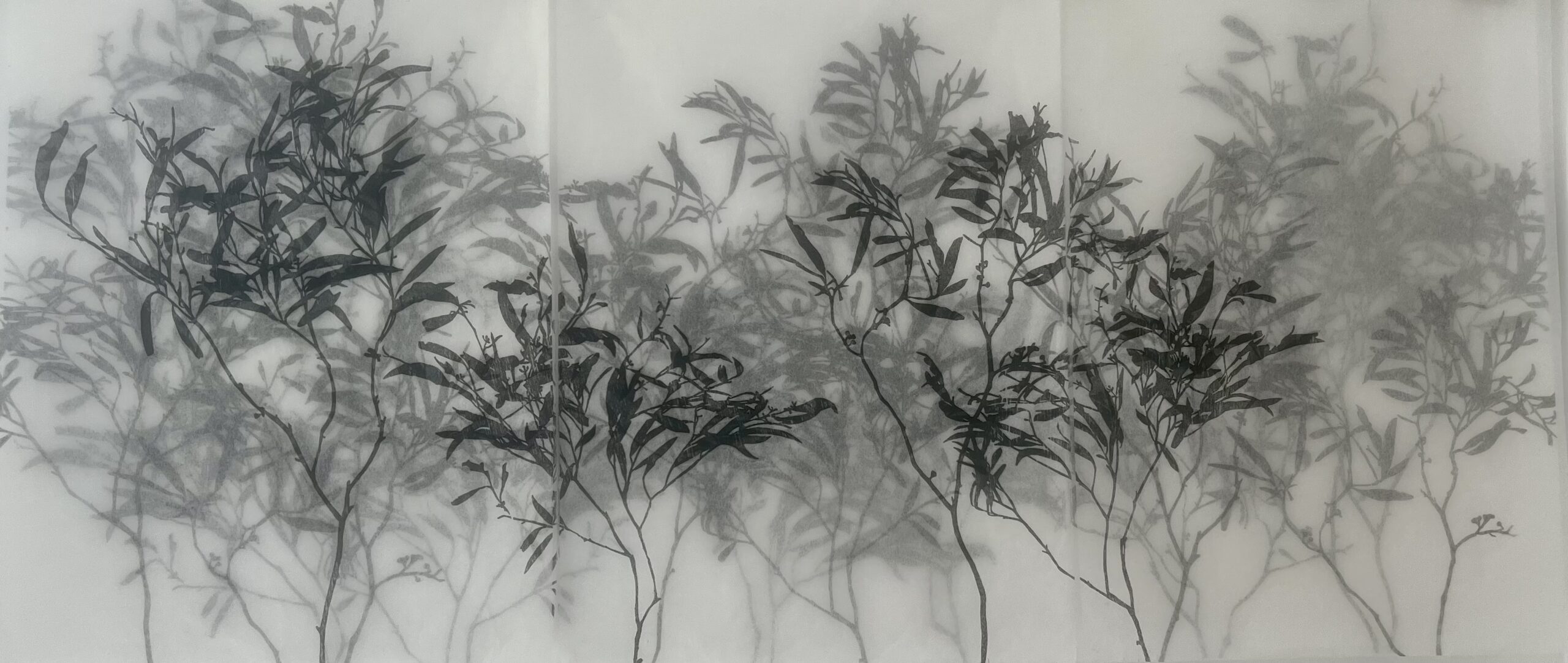 Helen Mueller_Forest Story 4, 2023