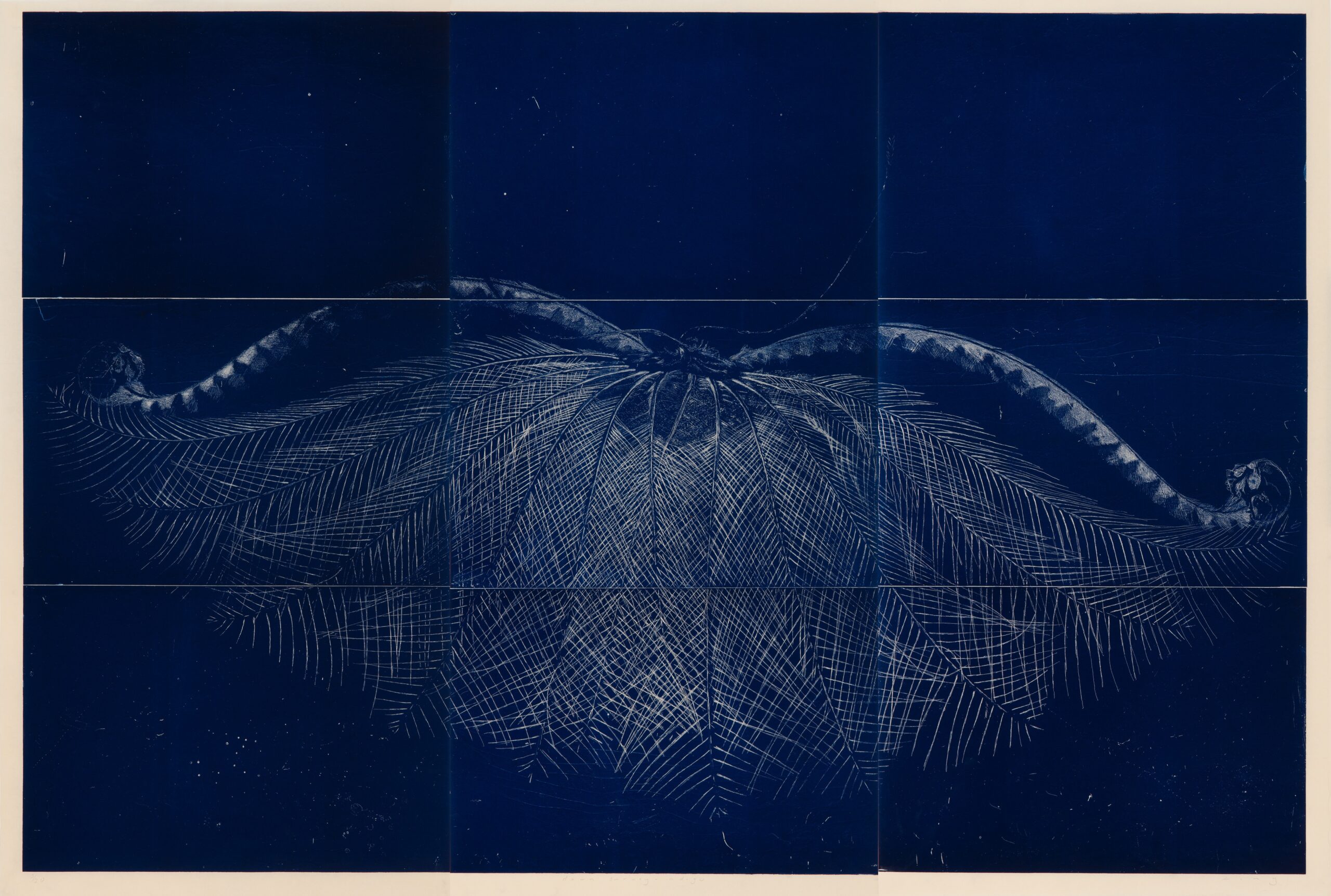 KING Martin_Dawn Survey - Indigo_2015-50n