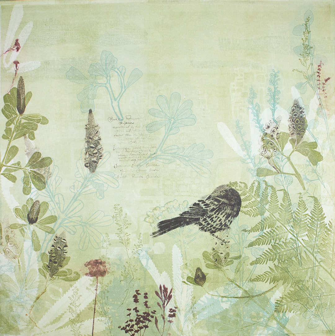 5. Vital sweetness for the Earth Multiplate Solar Etchings and Monotype Unique State 2023 TRUDY RICE WEB