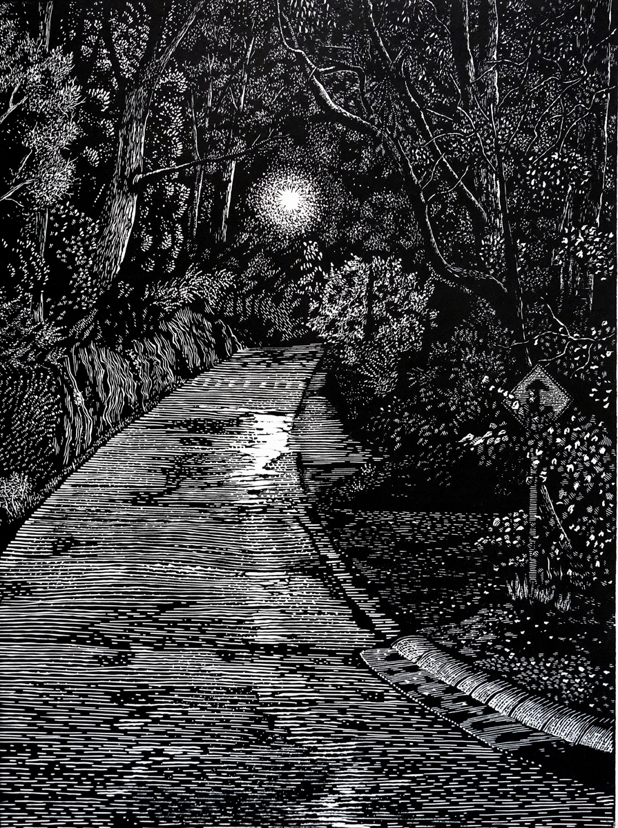 Image 37.5x50, My Evening Walk. Edition of 15, 2023 Lawry