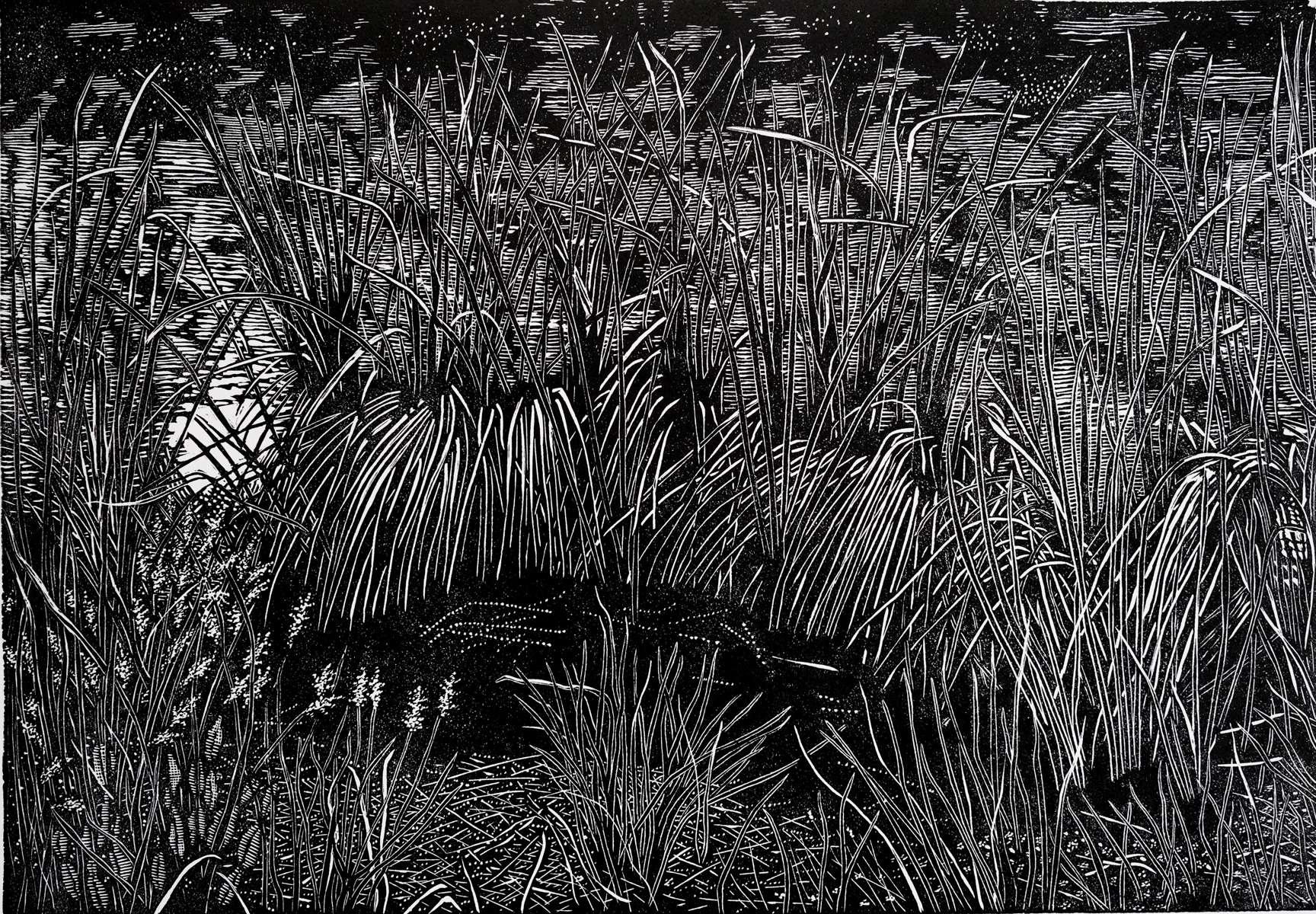 Image 44x30.5. Lake's Edge, Edition of 15, lino cut print 2023, Lawry