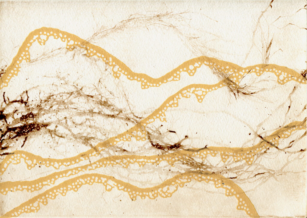 Interactions with the ocean are the undercurrent to this joint exhibition in Hobart.