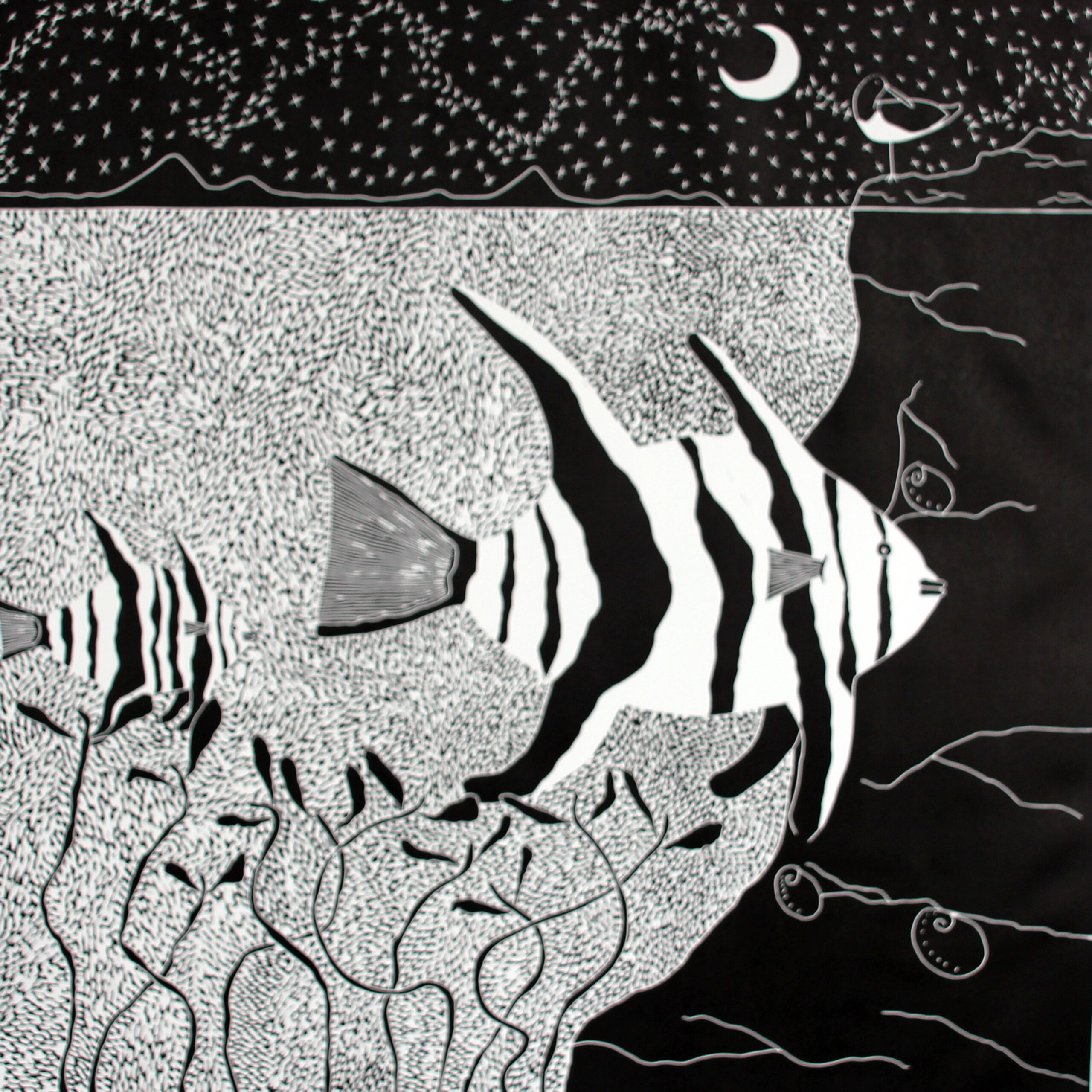 Quiet-night-under-the-big-magnet