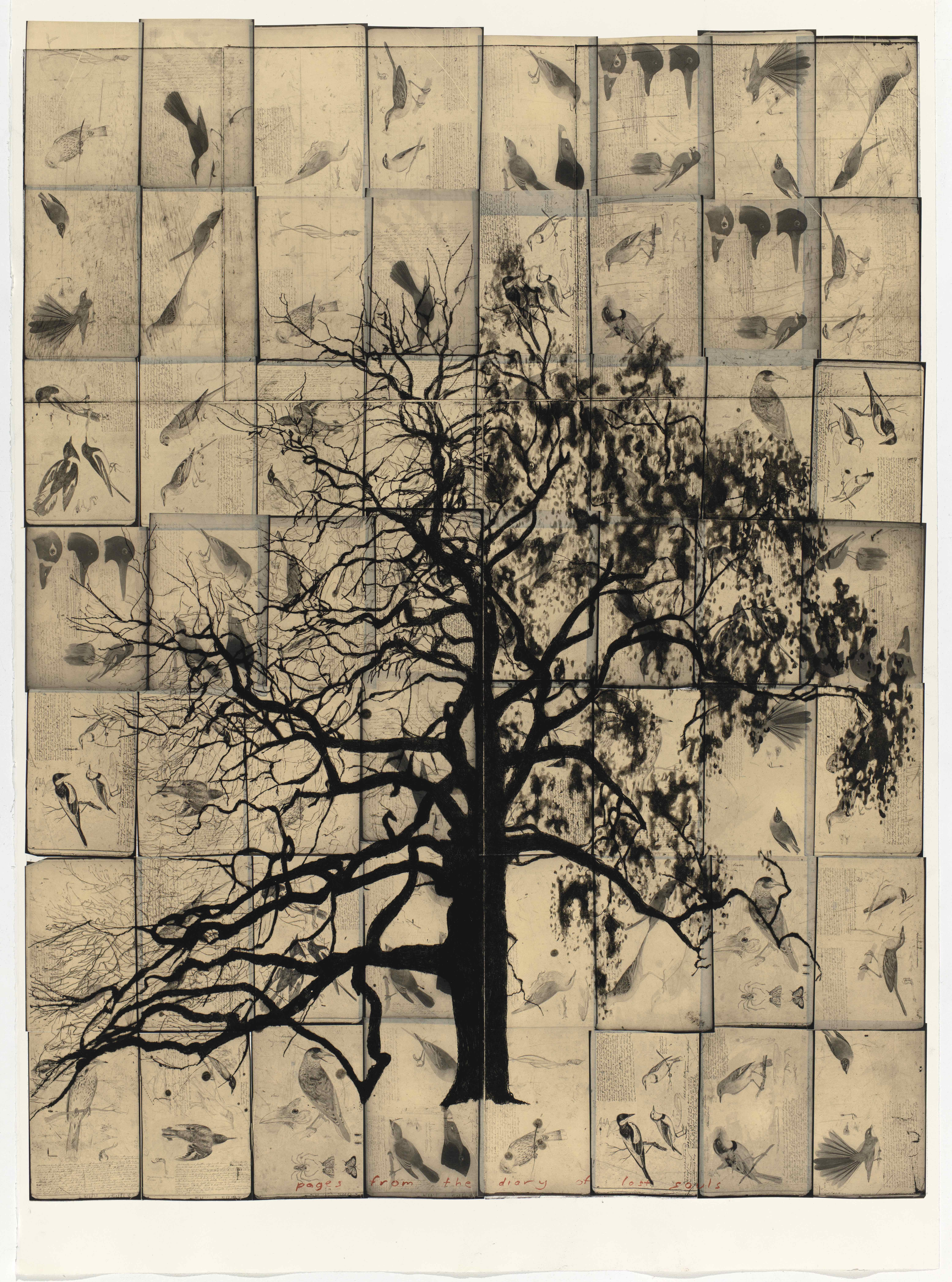 pages from the diary of lost souls
