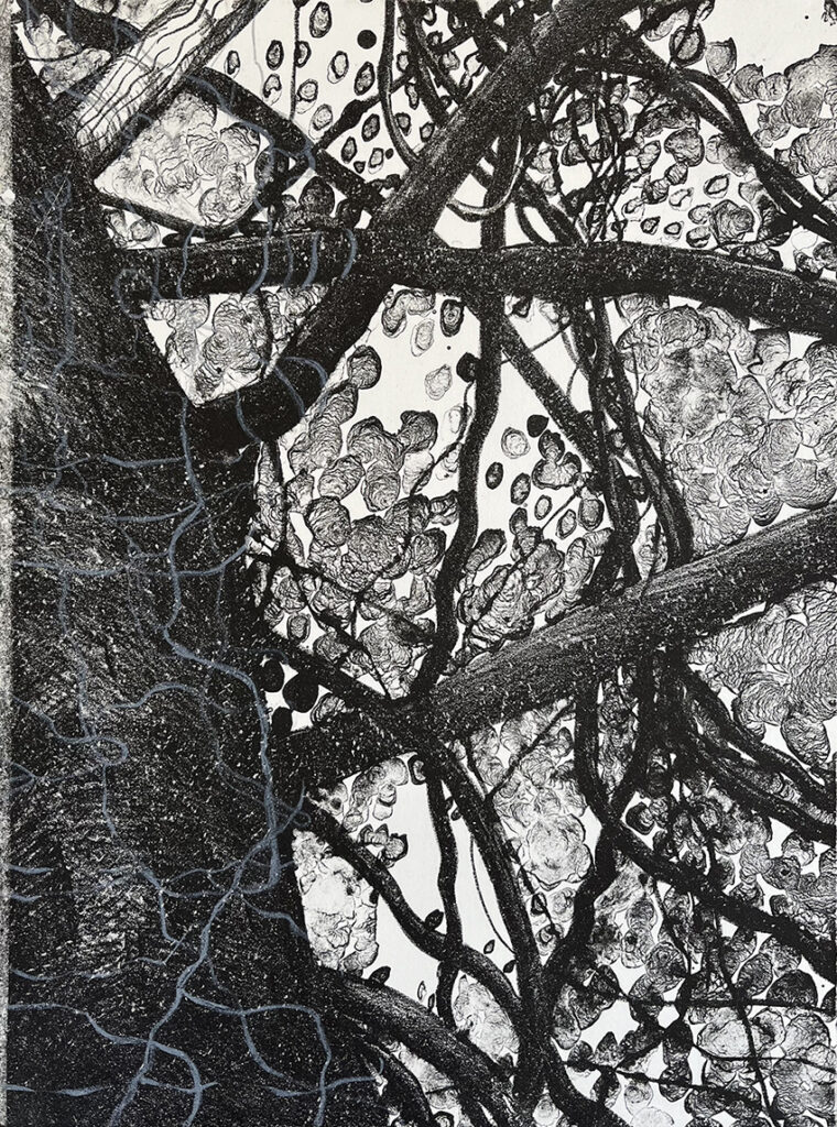 Sydney Printmakers explore multiple themes in a new print exchange on show at the PCA Gallery in Melbourne.