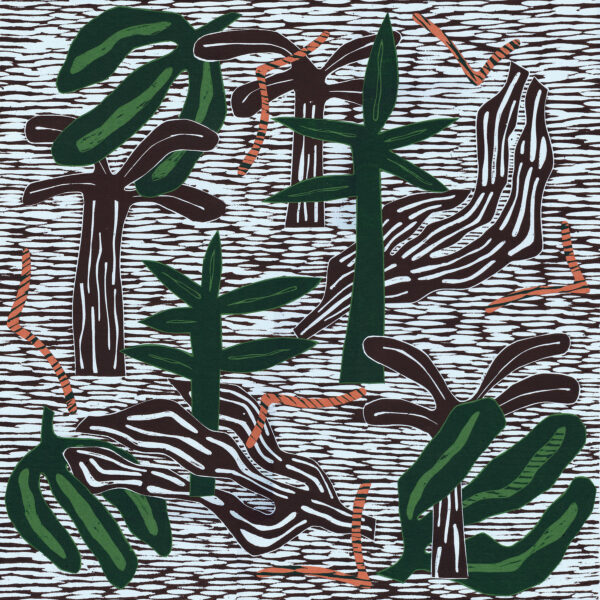 Vivienne Adeney - Canopy 