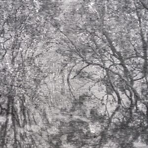 Freyja Fristad - Veins of the Tide