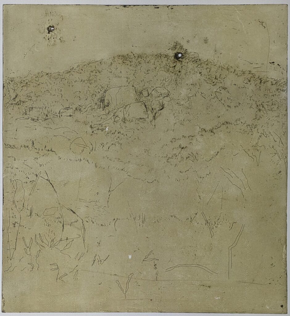 Jo Darvall
YY
Etching on steel 
Edition of 30 
Image size: 49.8 x 53.5cm 
Paper size: 76 x 55cm
I’m on the hunt for interesting marks. I’m a mark-hunter like Fred Williams before me. Interesting marks that are discovered through the intaglio and etching process can reveal something deeper... and clarify and make sense of things. YY refers to the You Yangs west of Melbourne on Wadawurrung Country. What is it about these quiet hills, usually just passed by, that draws in generations of artists?
 
Current financial PCA Members can purchase prints at the special rate of $290 per print, or $530 for 2 prints.
To claim the discount for 2 prints, at the checkout enter the Coupon Code: MEMBER2025