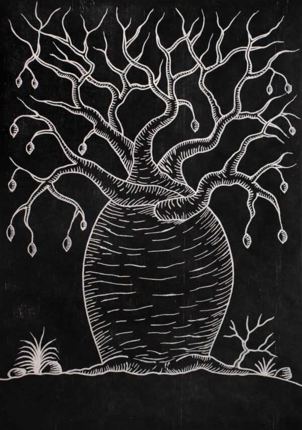 Nathan Thomas | Mighty boab tree (joomooloony) of the Kimberley