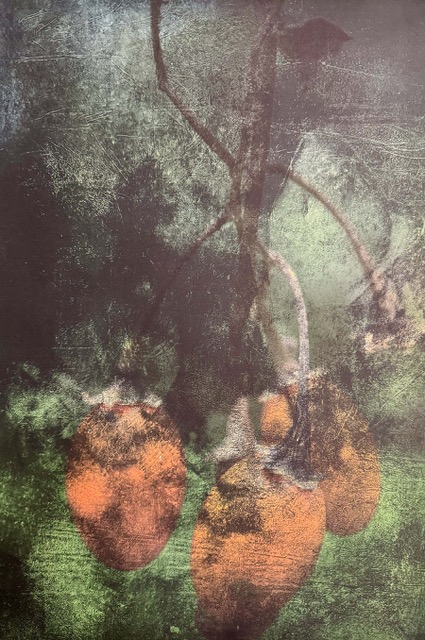 Marcus O’Donnell A Strange Appearance Variations Series 3 No 1 2025 photogravure on pigment print 38 x 56
