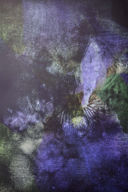 Marcus O’Donnell A Strange Appearance Variations Series 3 No 3 2025 photogravure on pigment print 38 x 56