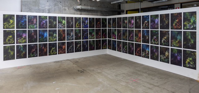 How can nature be represented in the age of the Anthropocene? Marcus O'Donnell examines this in a new exhibition at the PCA Gallery.